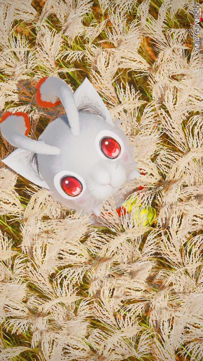 ニャッピーの日常 秋にゃ〜