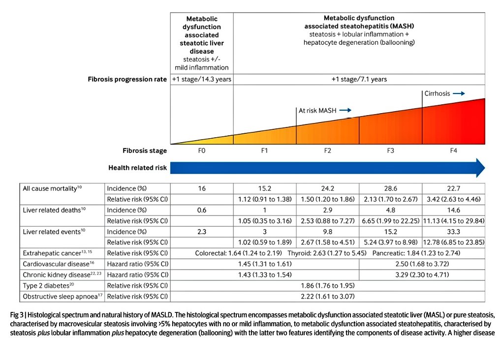 Marcos Gamboa tweet media