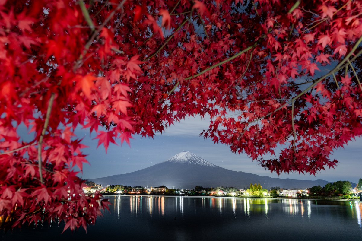 ゆうとの風景 tweet media