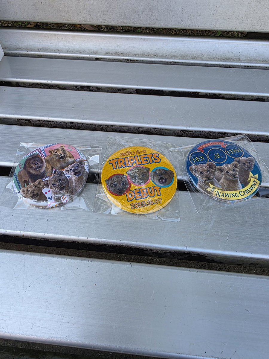 缶バッジ ゲットしたー