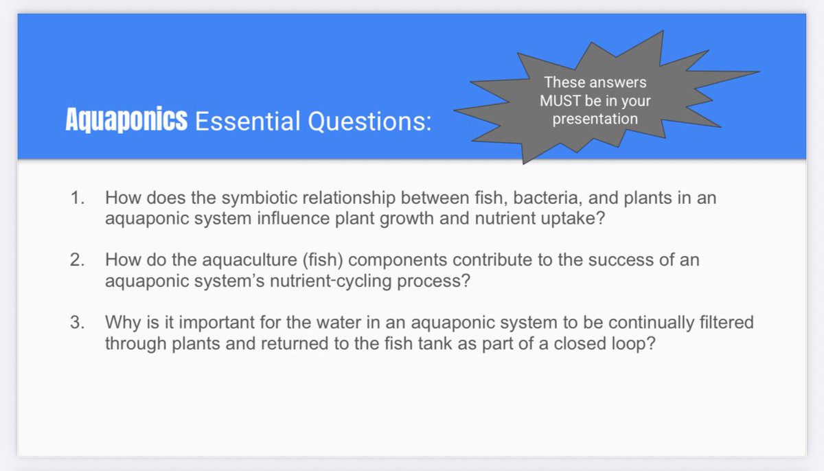 timmyGTI's tweet image. 3rd @WGESdragons collaborating in a #scaffoldingworkshop for #TowerGardenPBL 🍆🥬🍅🫑answering essential questions on alternative growing systems while taking on roles of Researcher, Diagram Designers, and Presentation Developer
#TPSPTimmy #TPSP #realworldlearning @TowerGarden