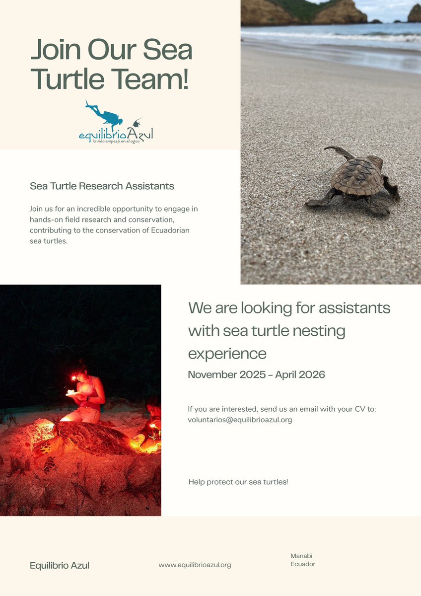 Equilibrio Azul tweet media