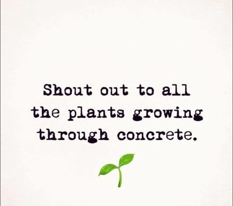 Kristin 💛 tweet media