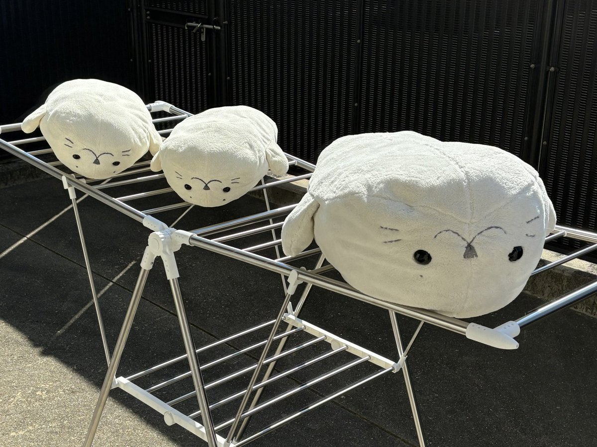 しろしろ (@shiroshiro72) / Posts / X