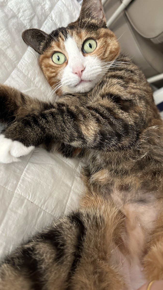 v2soo2's tweet image. 이정도면 잘 아물었죠