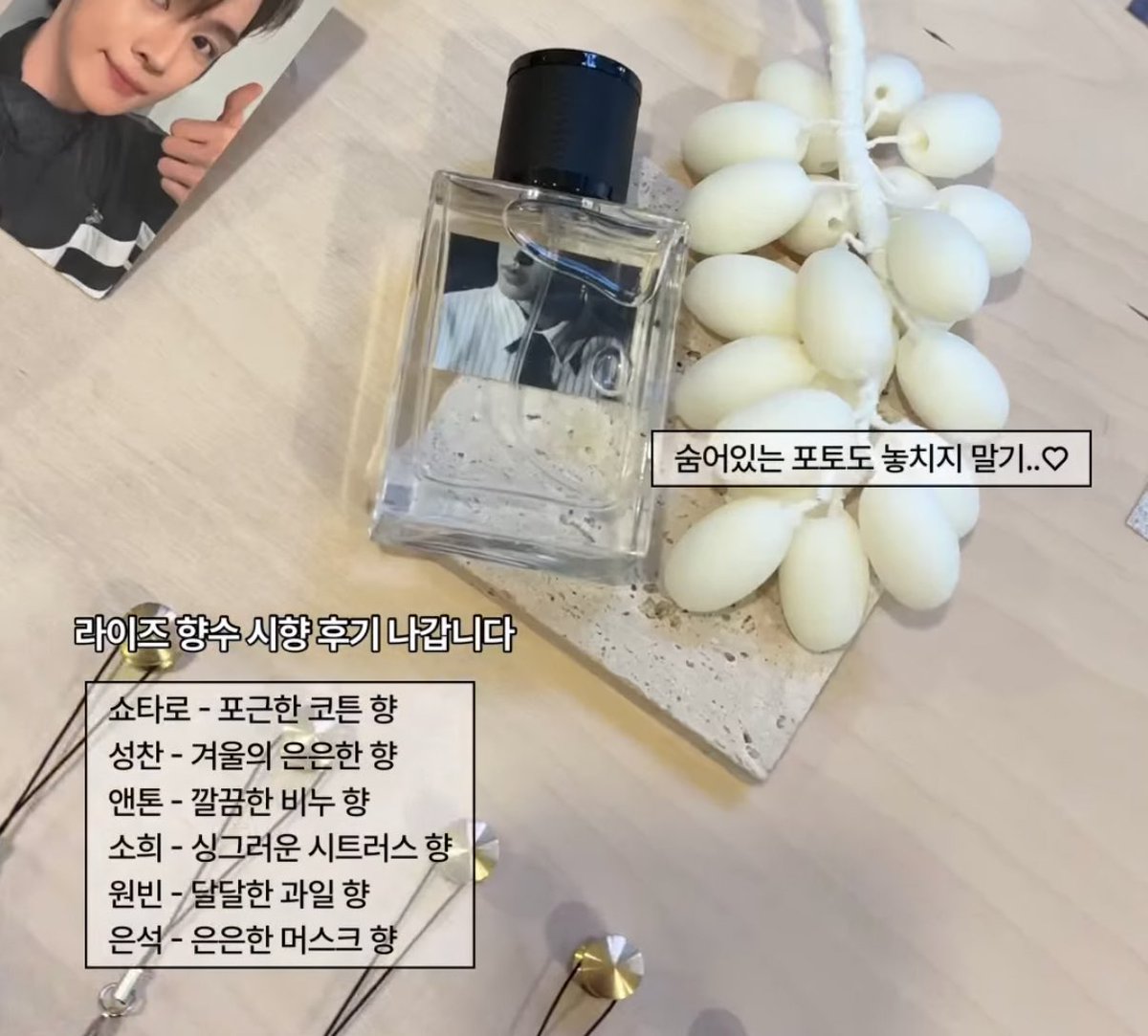 전시회 라이즈 향수 

쇼타로 - 포근한 코튼 향 
성찬- 겨울의 은은한 향 
앤톤- 깔끔한 비누 향 
소희- 싱그러운 시트러스 향 
원빈 - 달달한 과일 향 
은석- 은은한 머스크 향