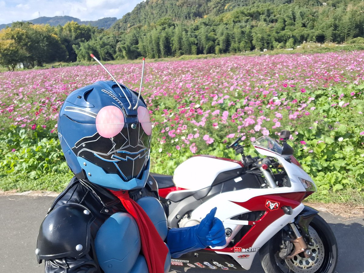 ミッション②コスモス畑❗ 終了‼️(o￥o)