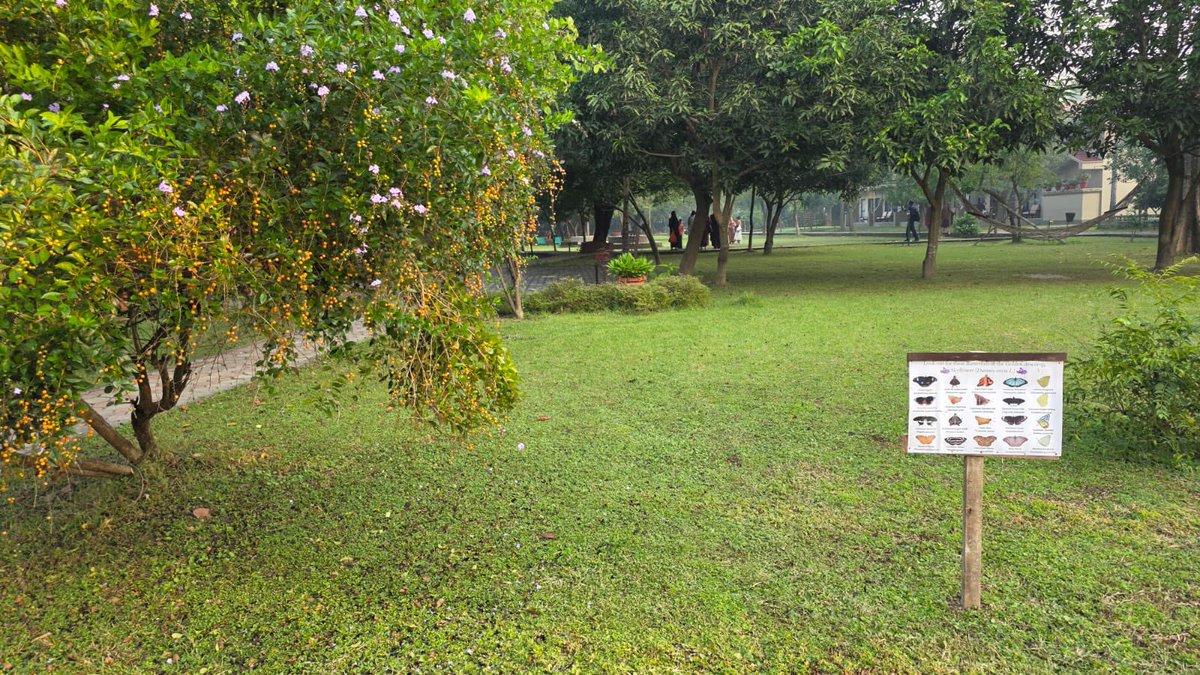 Lumbini Buddha Garden tweet media