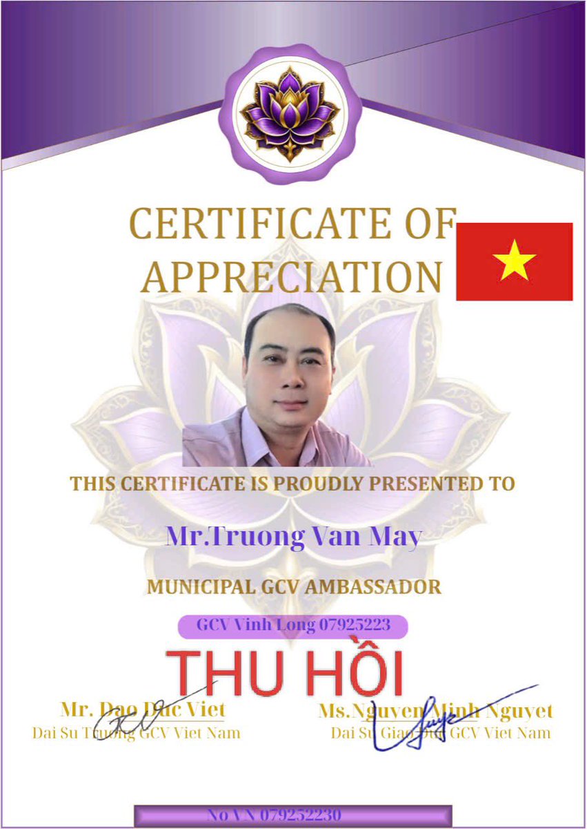 Pi GCV Việt Nam tweet media