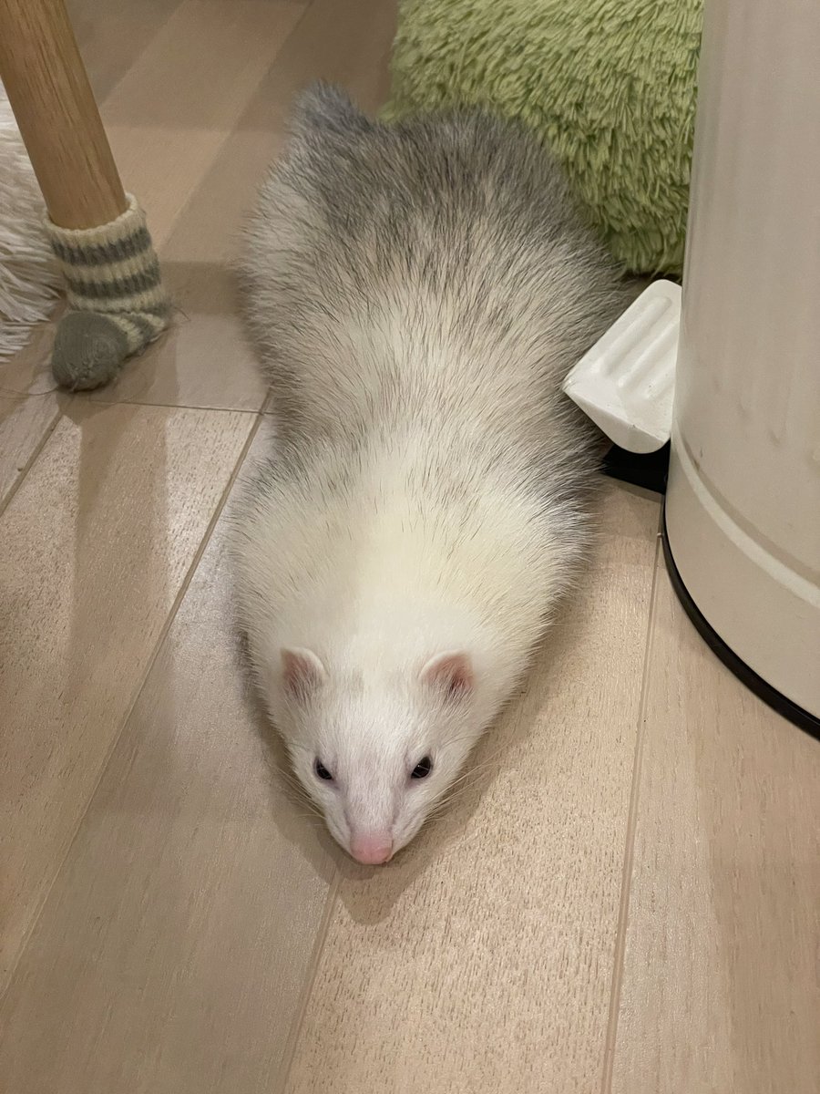 そらのすけ (@soramame_xx) / Posts / X