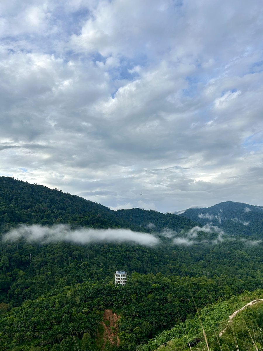 akmalnazamuddin's tweet photo. 📍Bukit Sikai, Kuala Pilah
↕️ 280m
⏱ 16min to the peak

Easy peasy sunday morning hike. Tak sempat berpeluh, know-know sampai. Pemandangan yang cantik, suasana tenang dan angin yang nyaman. Tiga perkara yang memang aku perlukan untuk berehat dari kerja-kerja hakiki setiap hari. https://t.co/mobQ3y82hz