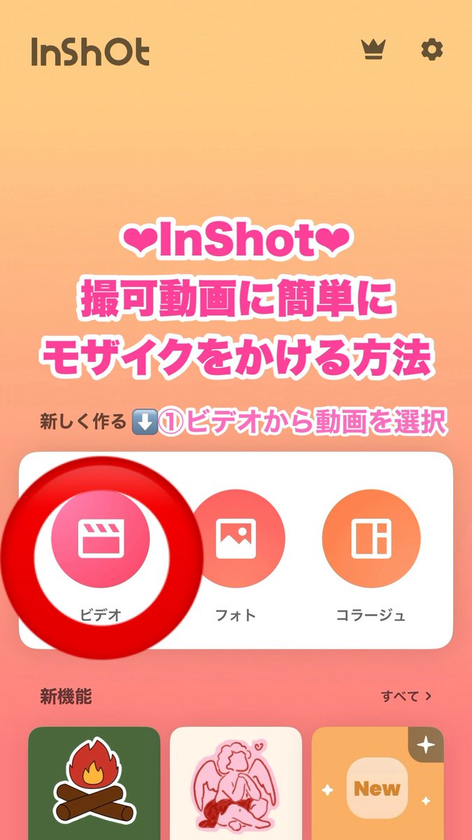 oyste(R)®︎ (@i_am_oyster) / Posts / X