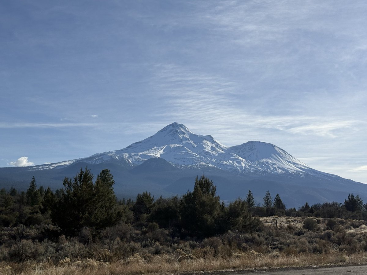 Aim-Assist Andy tweet media