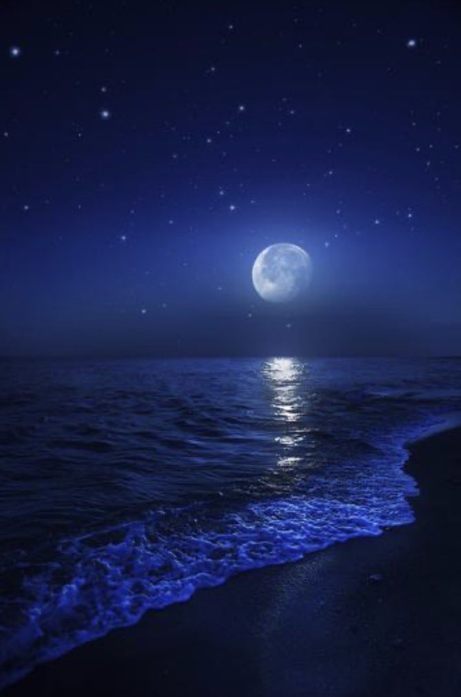 RobMetax's tweet image. Good Night ✨