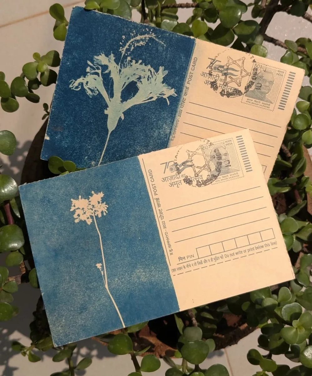 IndiaPostOffice's tweet image. Beat the winter blues with a burst of imagination on a postcard.

Share your postcard art with us and get featured on our page!

Photo : abluepaletteproject

#PicOfTheDay #Postcards #IndiaPost #DakSewaJanSewa