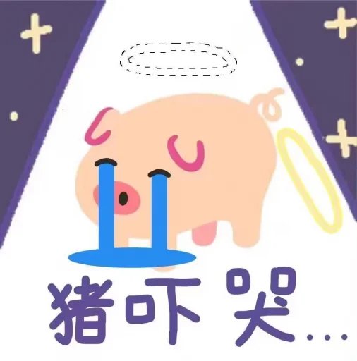 喵宁💊🏳⚧ tweet media