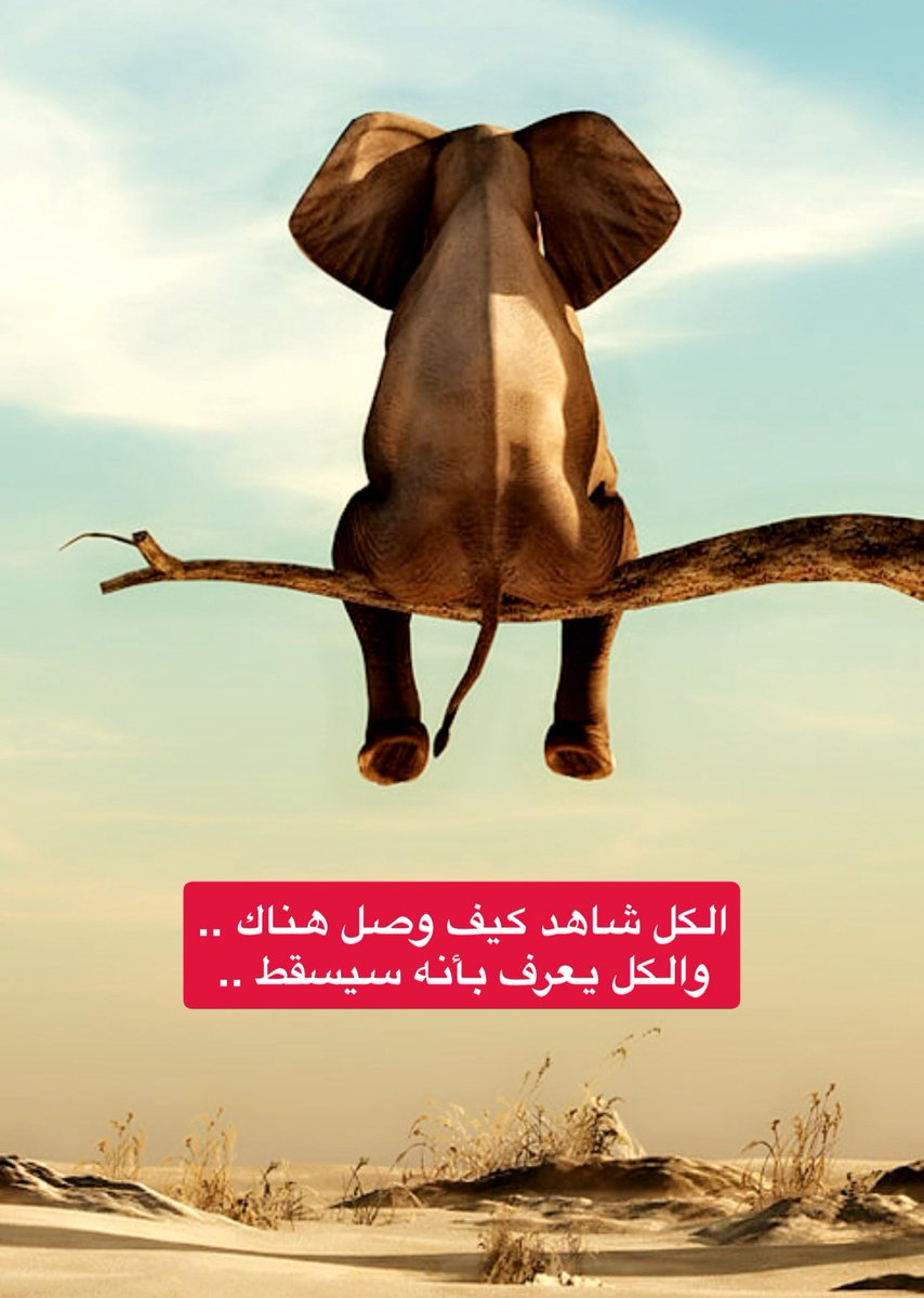 🚨🚨لماذا يتحدث الهلاليون؟ وكيف تصدر النصر ؟ |

       "كشف حساب للصفقات والجدولة والتحكيم"

🚫 لا ينصح بقراءة المقال أصحاب القلوب الضعيفة🚫

🚨الصفقات : "النهر الجاري"
النصر بقضاياه والذي عودنا على تواجده الدائـم أمـام أبواب محكمة الكـأس في الفيفا أصبح يتعاقد ويُصرف اللاعبين