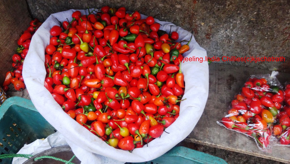 KJSChatrath's tweet image. #Darjeeling #Chillies #India #kjschatrath #Chatrath