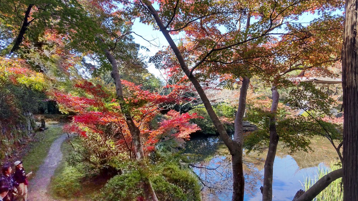 Nobuhiko FUNATO tweet media