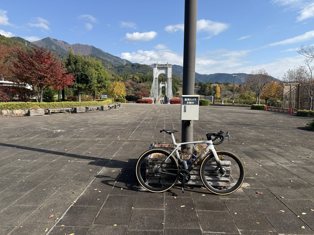 100_Colors's tweet image. 痩せるために

#ロードバイク 
#PROJECTONE 
#TREK 
#Madone 
#MadoneSLR