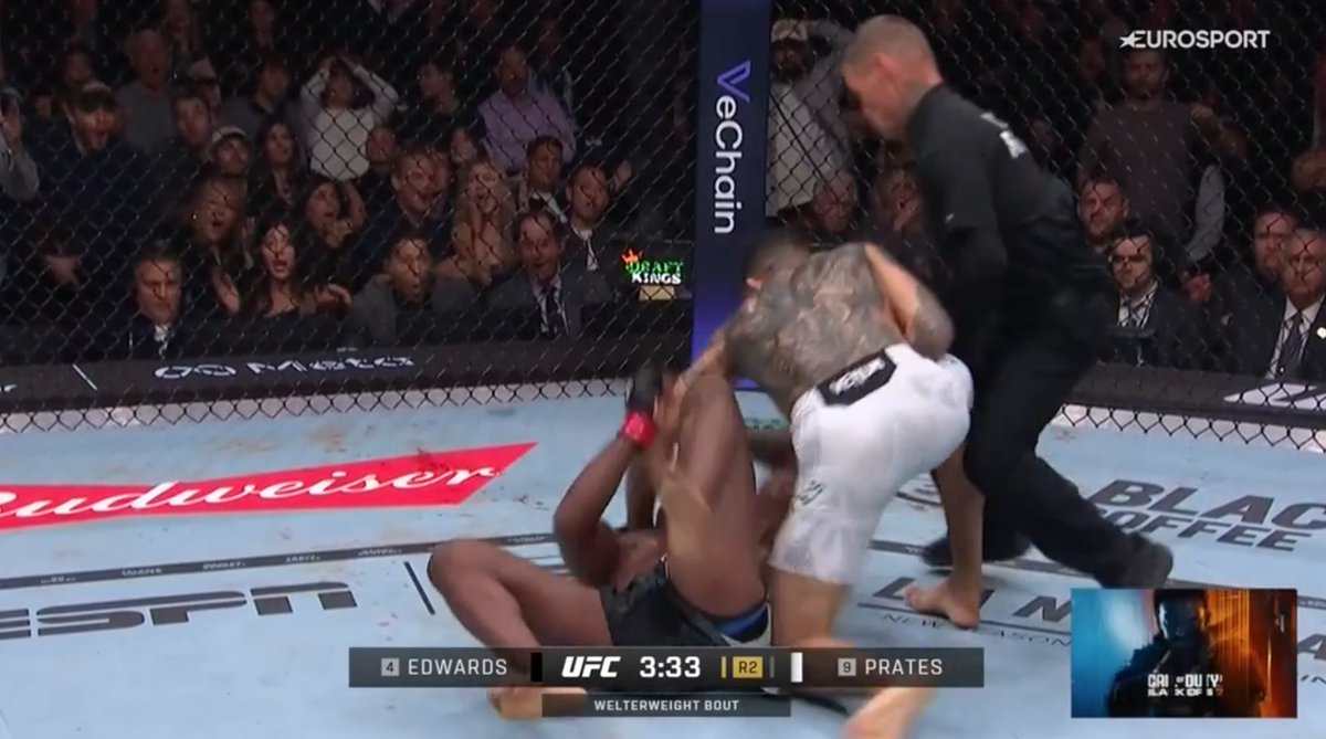 Pelunaton tweet media