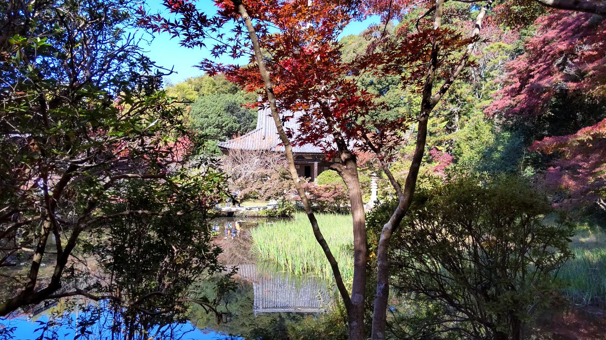 Nobuhiko FUNATO tweet media