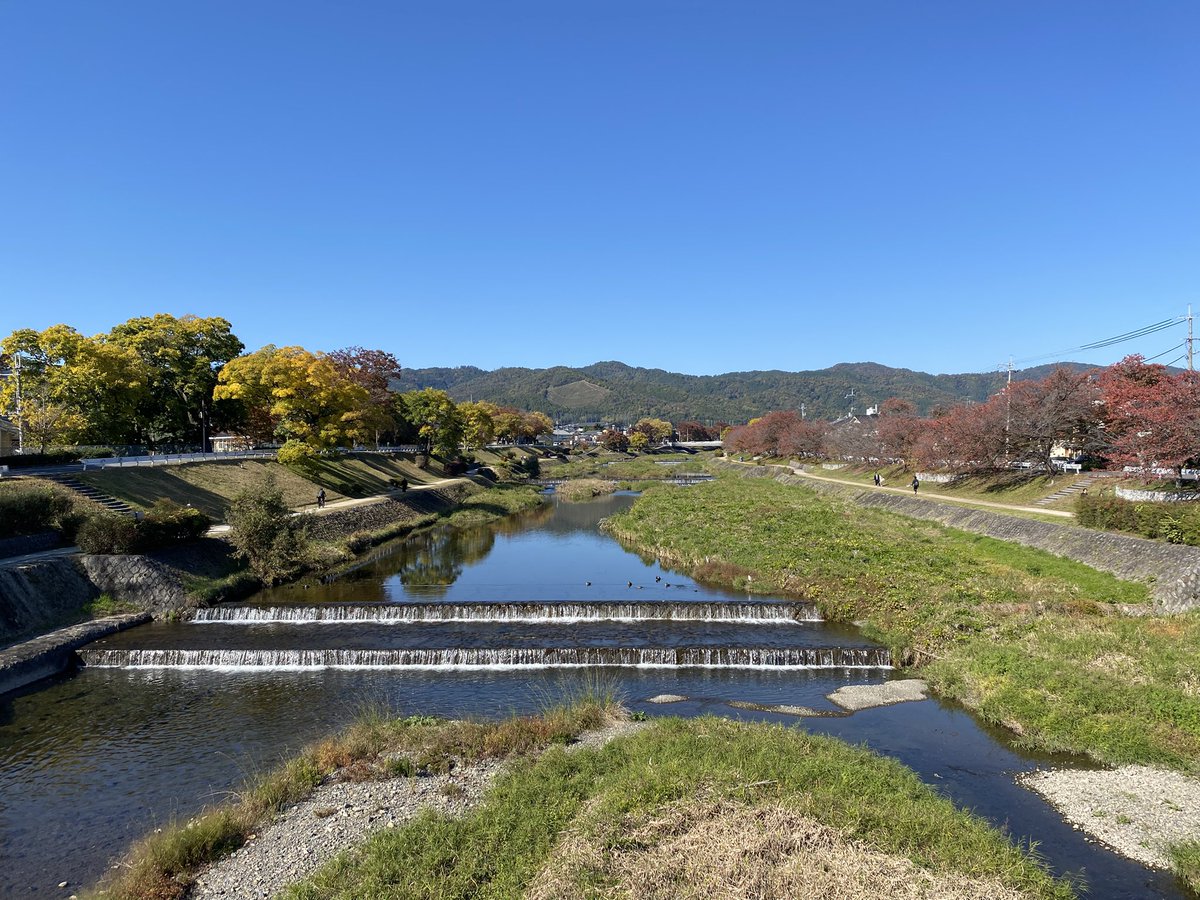 kamokamokai's tweet image. 今日の賀茂川。
2025年11月16日
#Kyoto #kyokamo #鴨川 #京都