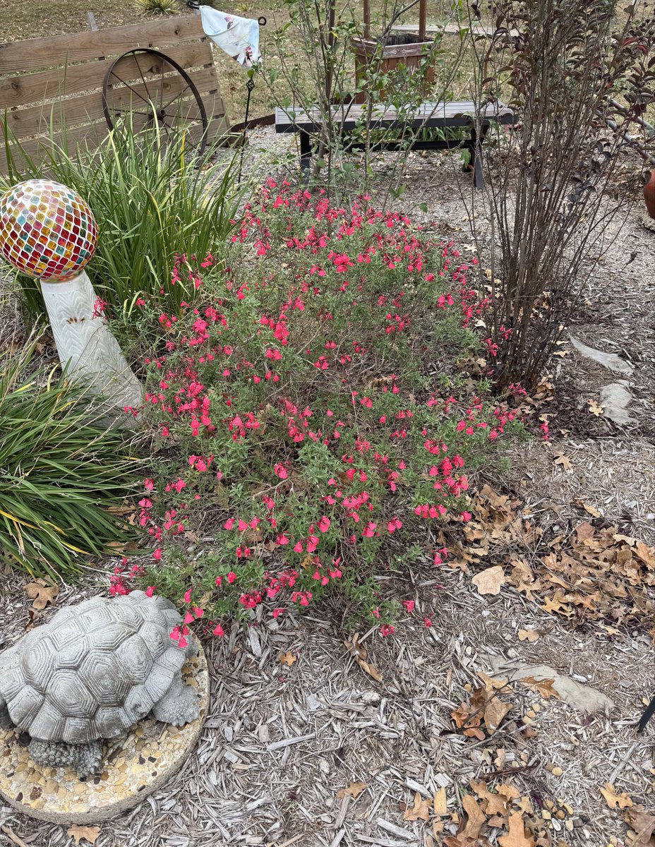 The magic of autumn.