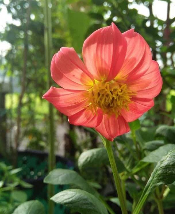 #اللهم_بك_اصبحنا

*والطـمأنينـة الوحـيـــدة الـتــي تـسـكـــن قلـــوبنـا دائـمًا*
*هـــي أنـنا تـحـت رعـايـــة اللـــه فـــي كـــل ظـــرف 

*صباح الطمانينه