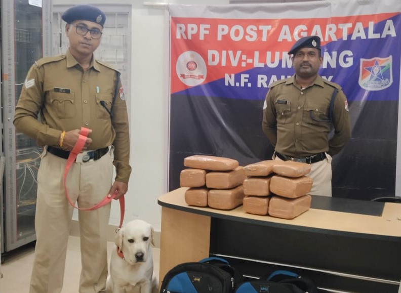 rpfnfrlmg's tweet image. #OperationNarcos
@RPF_INDIA
@RailMinIndia
@zscrnfr
@drm_lmg_nfr
@rpfpcagtl
On 15.11.2025 RPF of AGTL  &amp;amp; DS party recovered 19.00Kg’s Ganja valued Rs.1,90,000/- from AGTL Stn &amp;amp; further handed over to OC/GRPS/AGTL for legal process.
