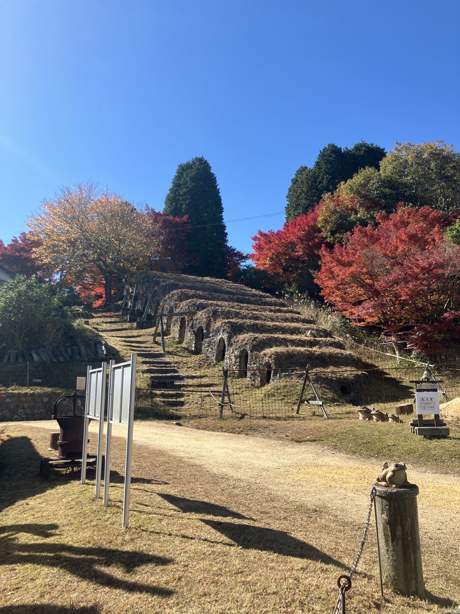 天候にも恵まれ、紅葉も美しい信楽で散策中🍁 街中に作品があふれてい