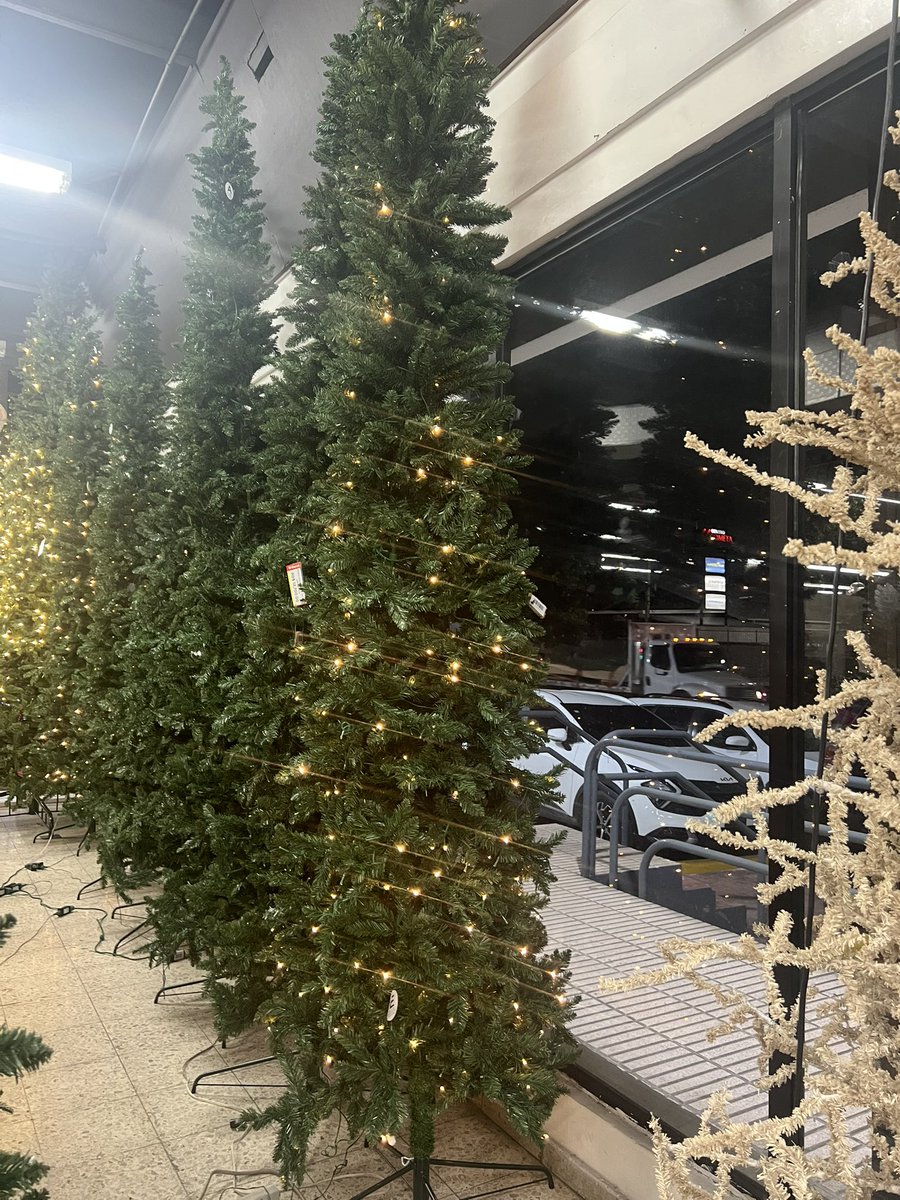 mafaldaOpinando's tweet photo. Me volví loca y compre un árbol de estos 🥹 

El Canal esta liquidando todo su inventario de Navidad. Y venden lo MISMO que Jumbo y La Sirena. https://t.co/PyvHPw3ea9