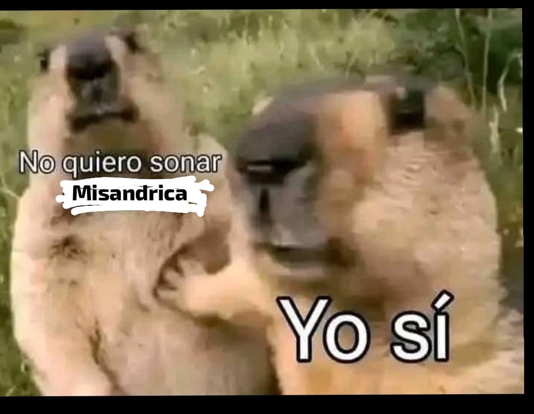 porfavor los citados de este tweet