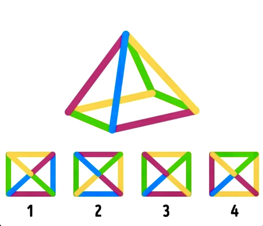 Denise 🇺🇸 tweet media