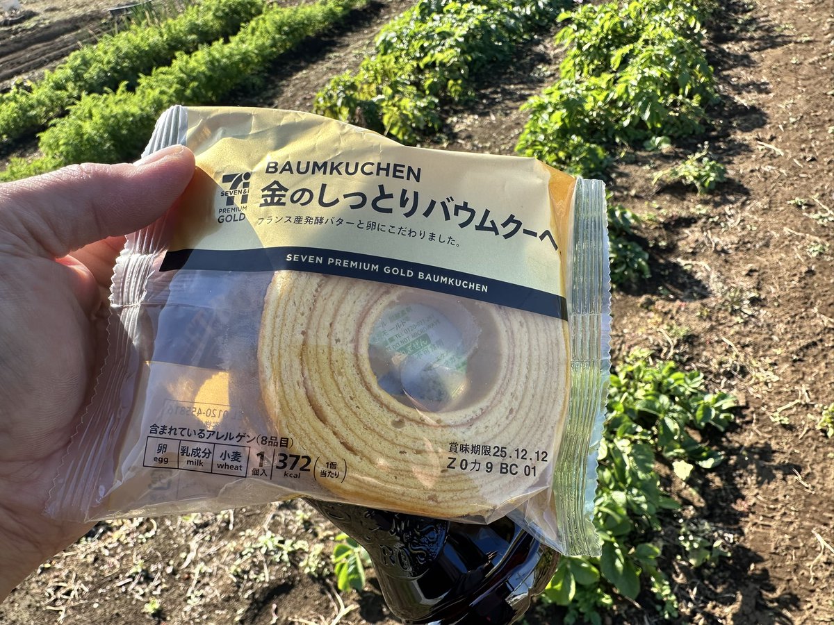 vifsWaSddrCitsk's tweet image. 今日はセブンの高い方の「金のしっとりバウムクーヘン」を食った
商品名の通りしっとりしとって美味かった。パッケージにフランス産バターと卵にこだわったと書いてるけど、ファミマのと比べたら優しくて上品やな感じ。
個人的にはファミマの方が好き
372キロカロリー
#バウムペコリン部
