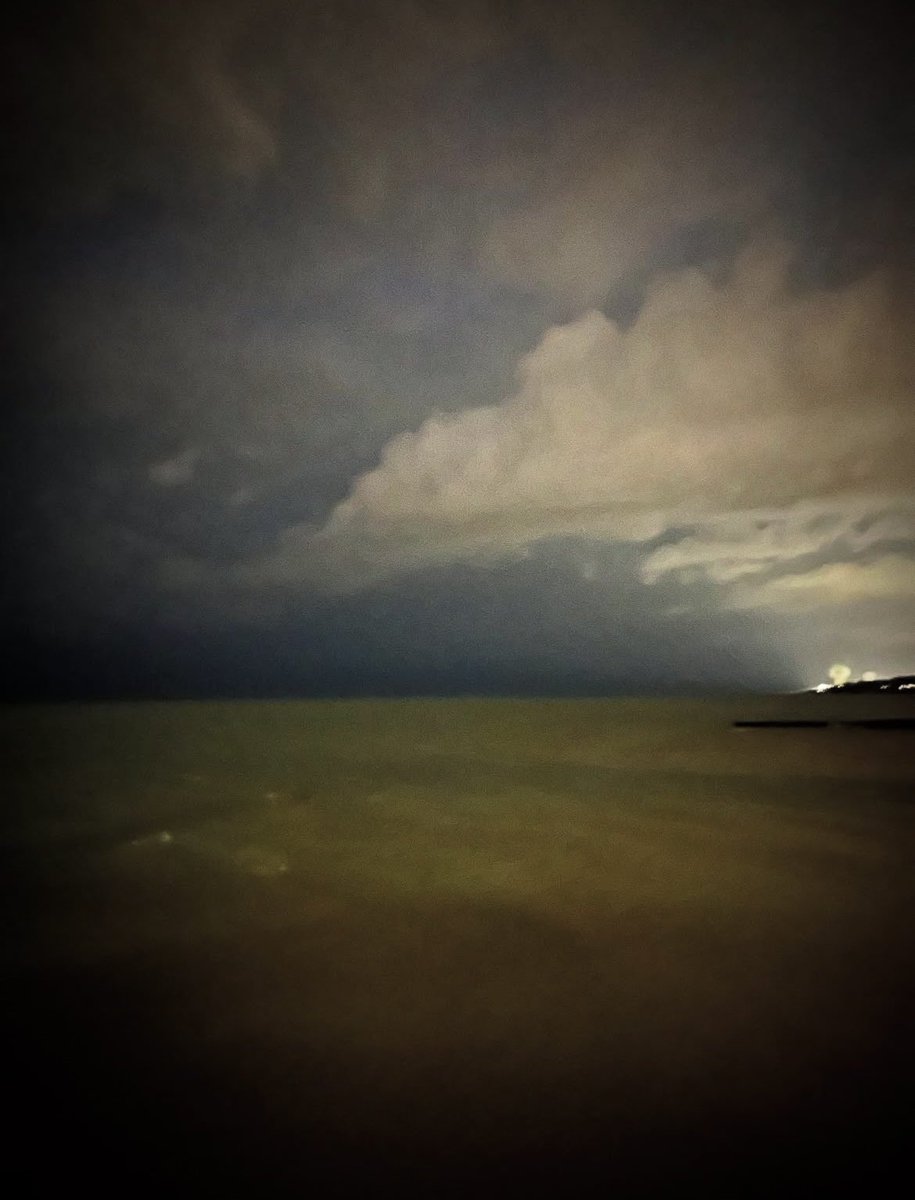 AmandaHarnocz's tweet image. Gales of November gathered, gripping the gutsy gals as they gallivanted through the gusty, grim winds. Enjoyed a nerdy @MCellarsOhio wine dinner with @alithearchitect out in Painesville on the lake put on by @LakeMetroparks tonight.