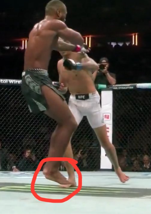 Elonov 🇦🇺 tweet media