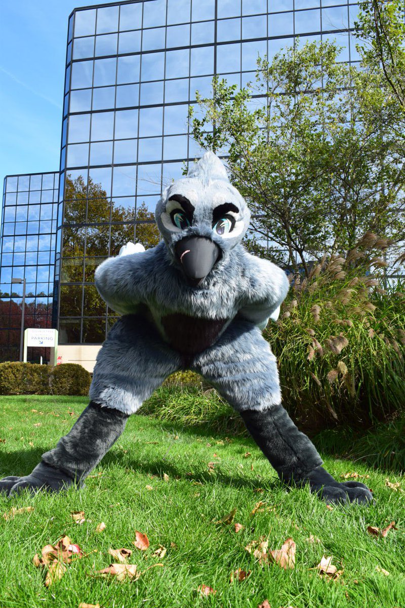 Dusky_Boi_'s tweet image. STEM FURRS TELL ME A PROJECT YOURE WORKING ON!!!