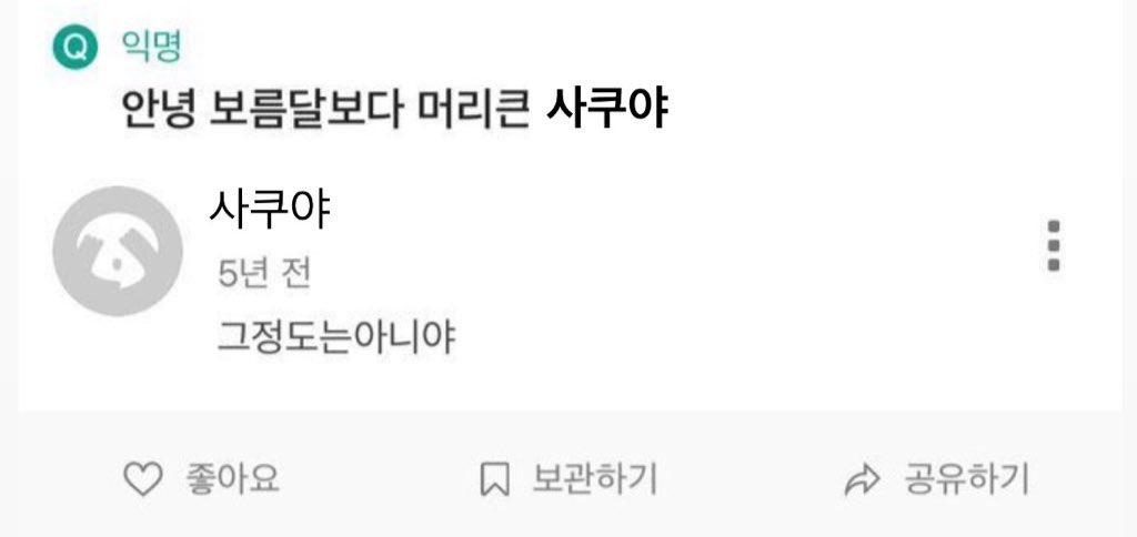 jjaniley biber (@gyozasik) on Twitter photo 