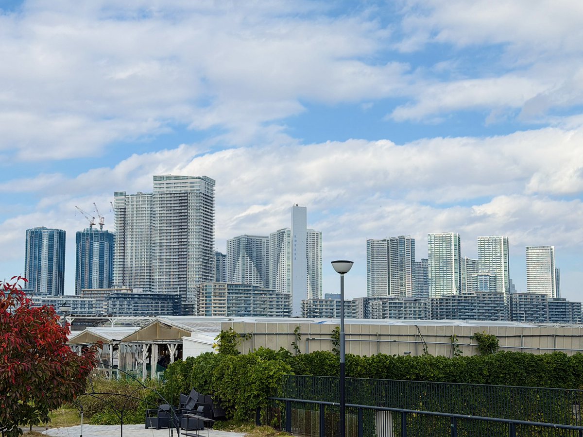 豊洲ぐるり公園から見た中央区の湾岸タワマン群の圧がすごい😂