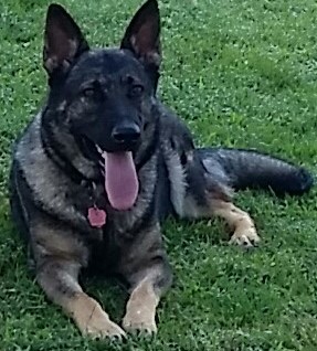 Just purged 300 non-followers 🤪🤪🤪😎 FB or be gone!