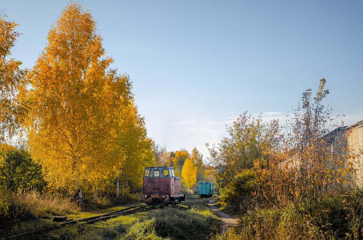 Тепловоз ТУ7А-3322 на разъезде Боёво, Каринская узкоколейная железная дорога, Кировская область, 07.10.2025. Diesel locomotive TU7A-3322 at the Boevo passing loop, Karinskay narrow-gauge railway in Kirov Oblast, 07.10.2025. Photo: Pavel Korshunov. #Russia #TU7 #ужд #узкоколейка