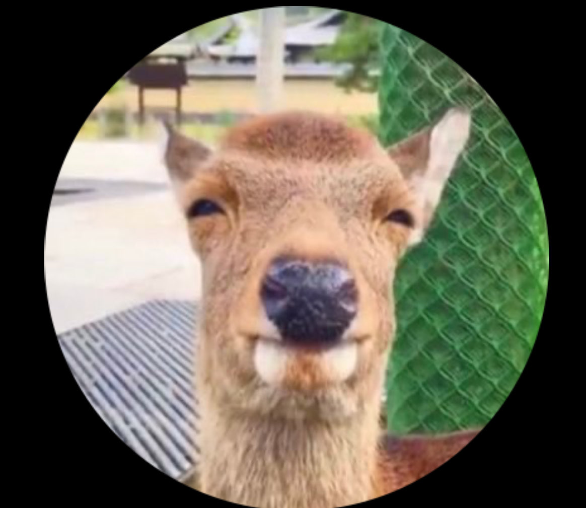 Pookie jr tweet media