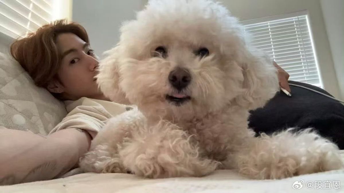 MTPilipinas's tweet photo. Happy Barkday to Boots and Nola’s fluffy big bro, Milo! 🎂

Thank you for always being there for your dad! Be healthy and happy! 🫶

We love you, Mamay! 💖

#MarkTuan #Mark #段宜恩 #마크 
@marktuan @DNAmngmnt https://t.co/UKPunzCsfY
