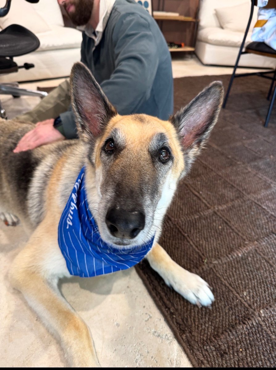 Sean Frank tweet media