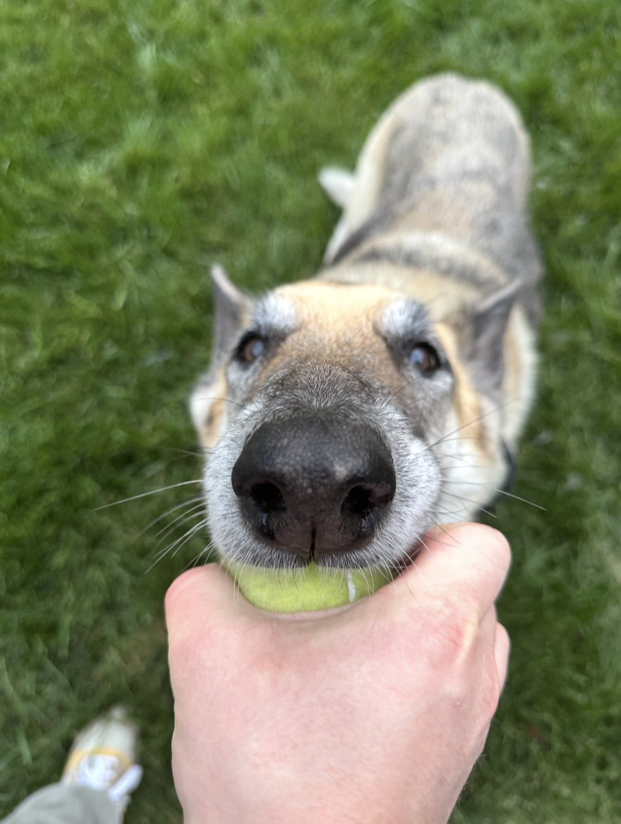 Sean Frank tweet media