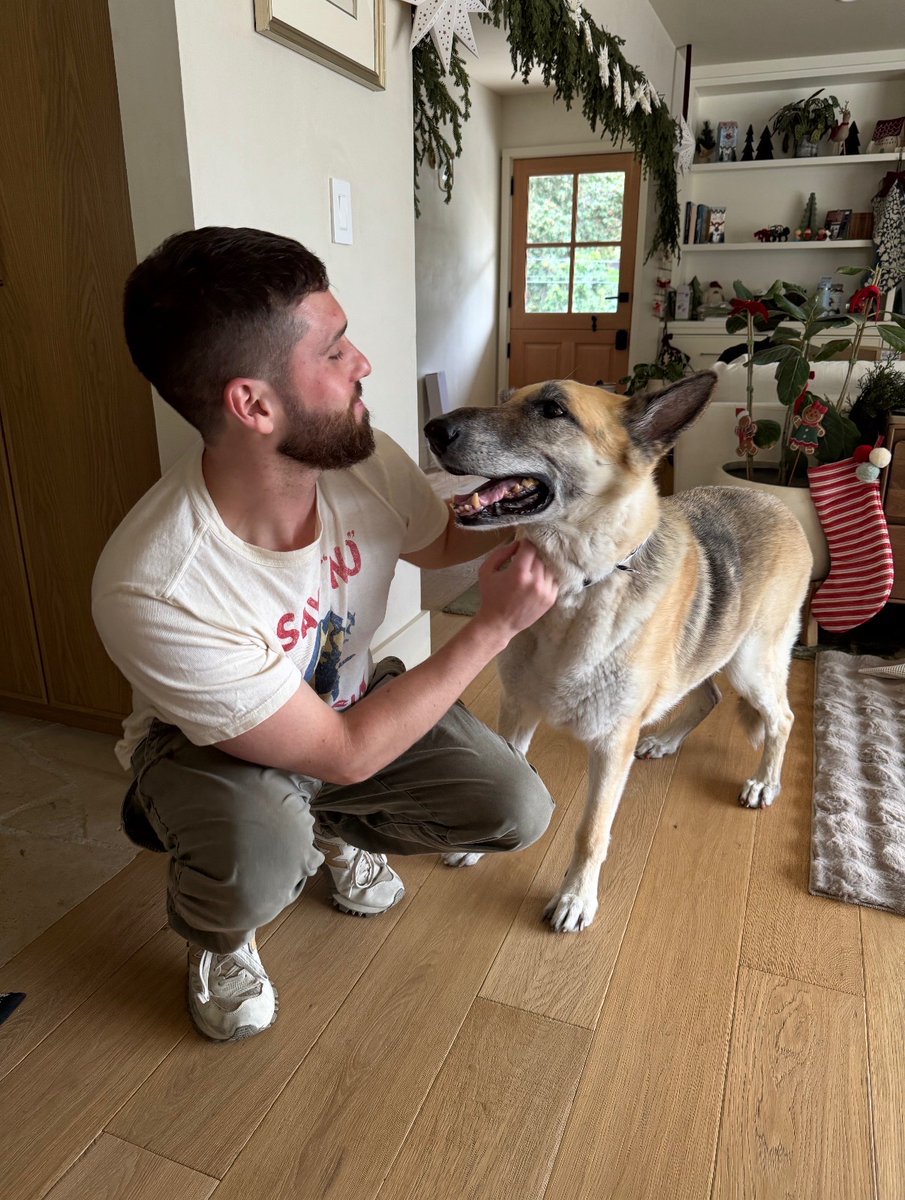 Sean Frank tweet media