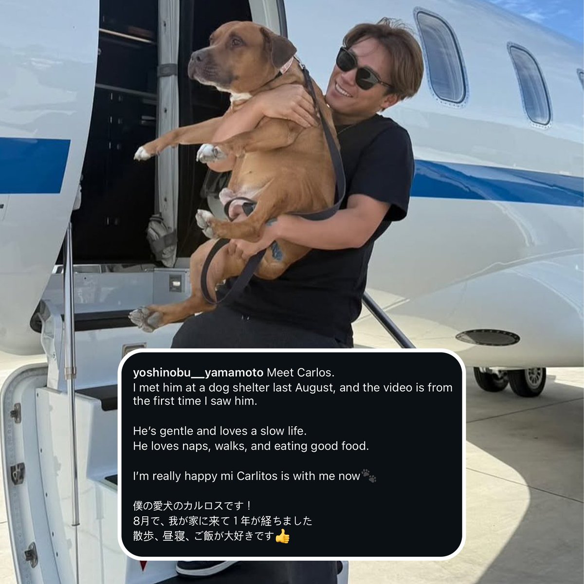 Meet Yoshinobu Yamamoto's new dog, Carlos! 🐾 (via yoshinobu__yamamoto/IG)