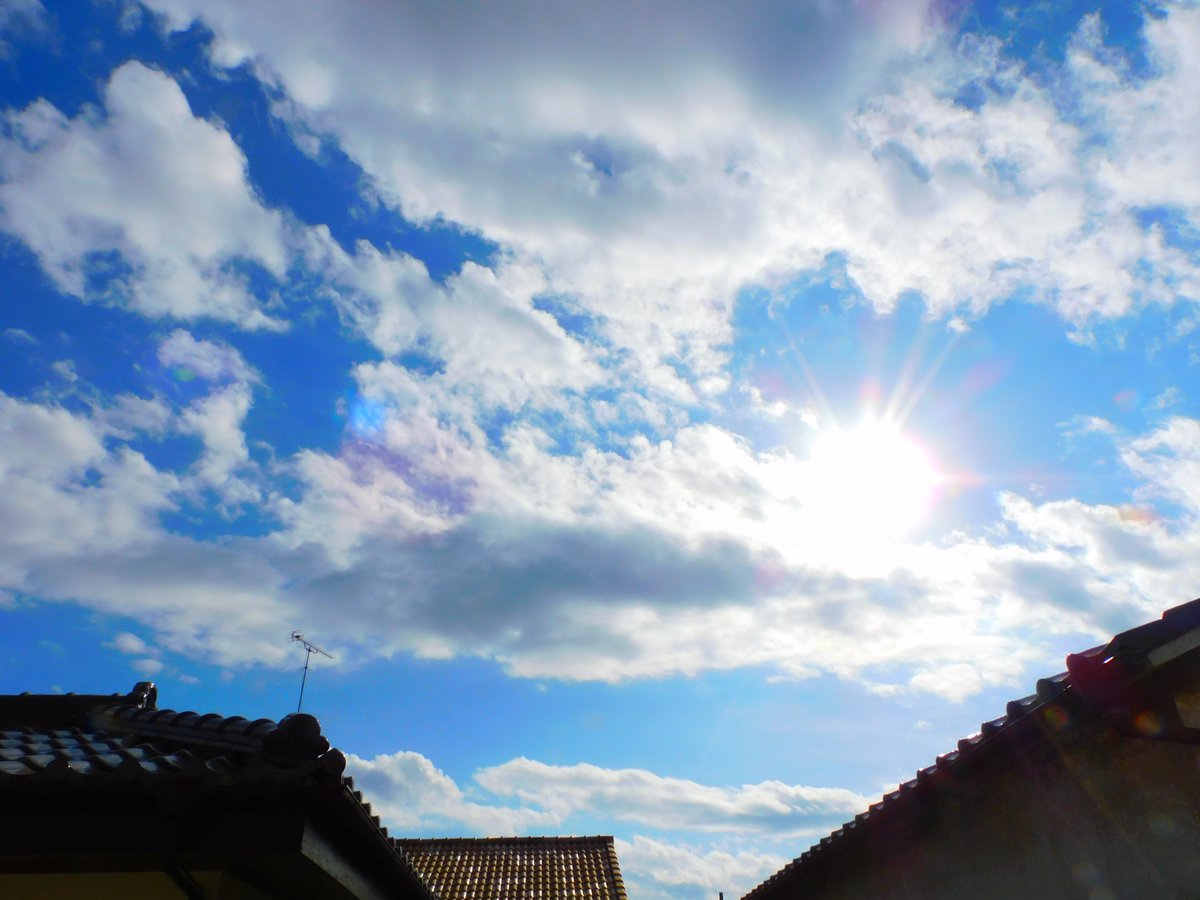 めるめるめー (@melmelmelme3) / Posts / X