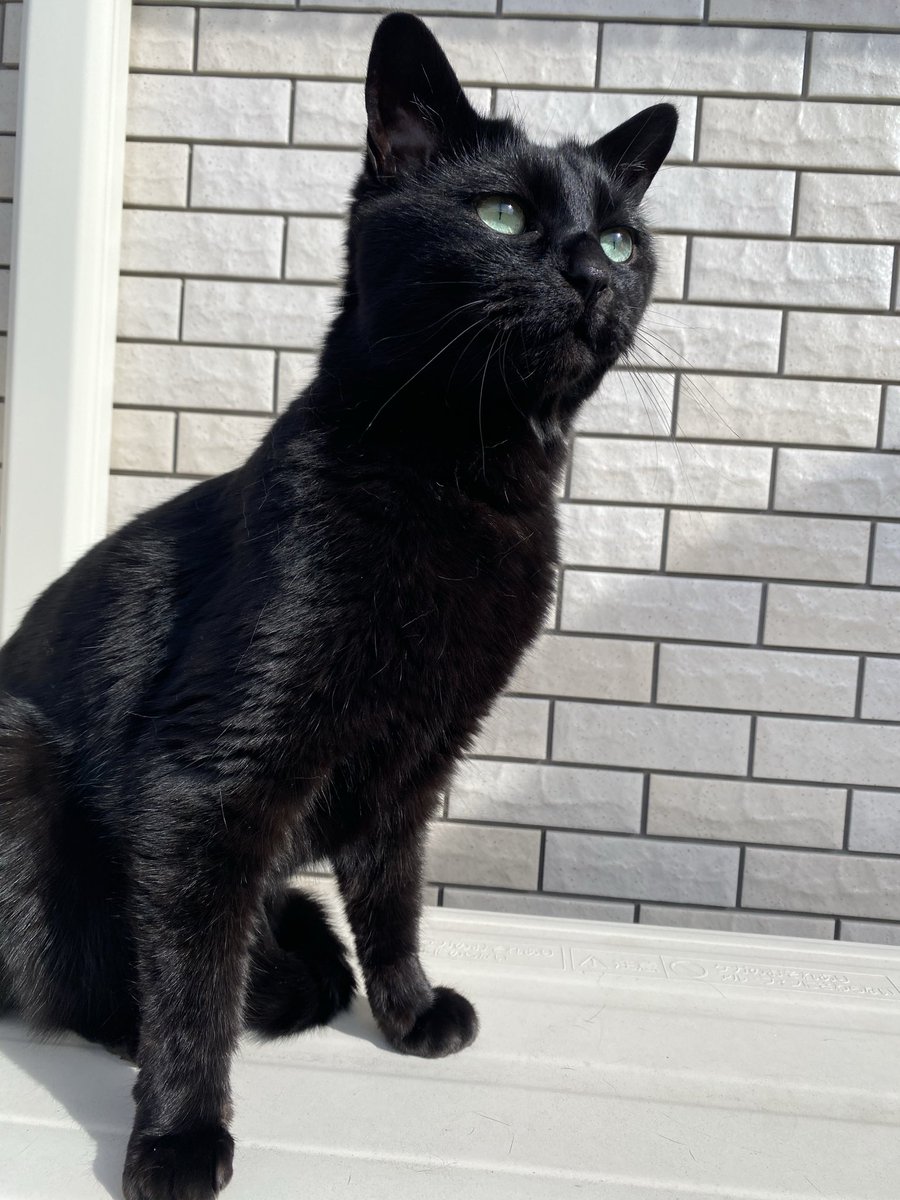 鳥さんを見つけました👀